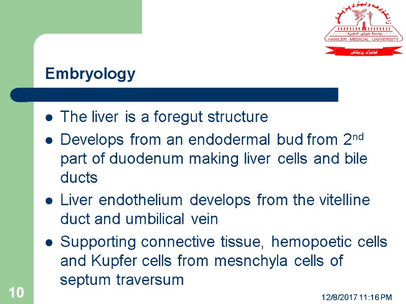 Embryology 12/8/2017 11:16 PM 10 The liver is a foregut structure Develops from an